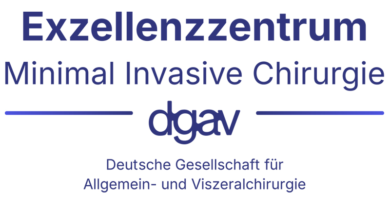 Logo DGAV Exzellenz